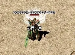 5E0C1A859E120F5F8606F708ABEE4F69.webp