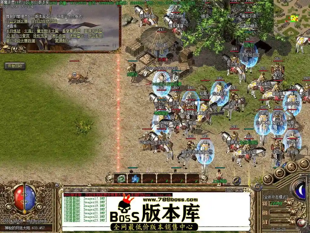 9.webp