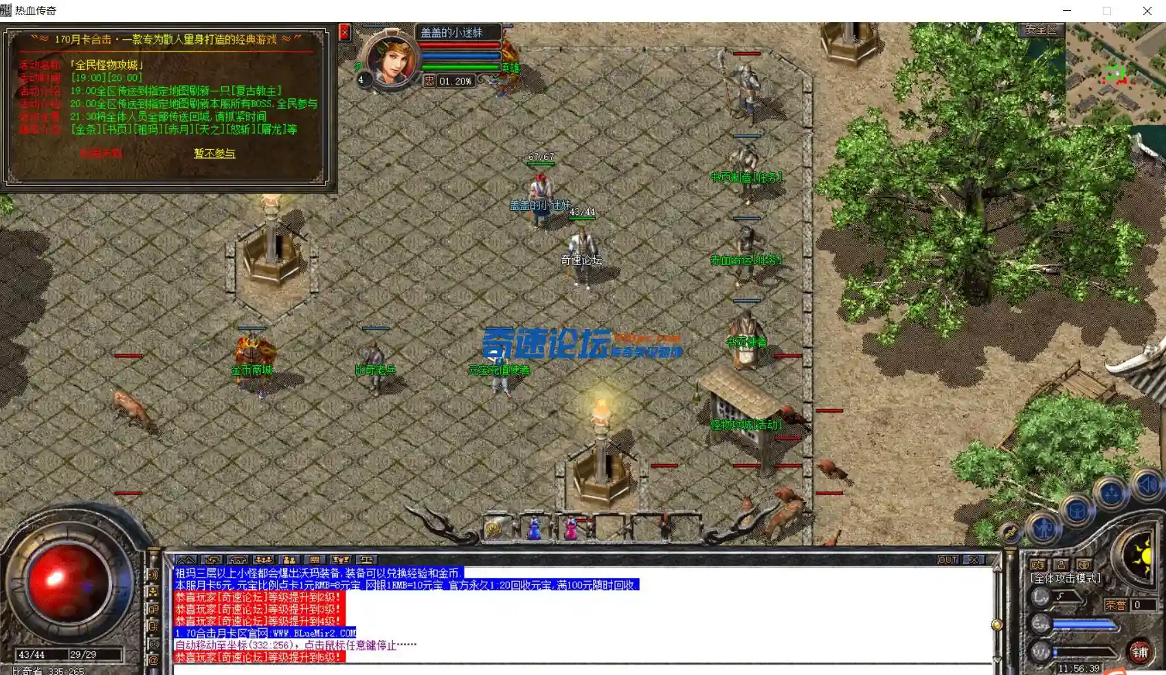 4.webp